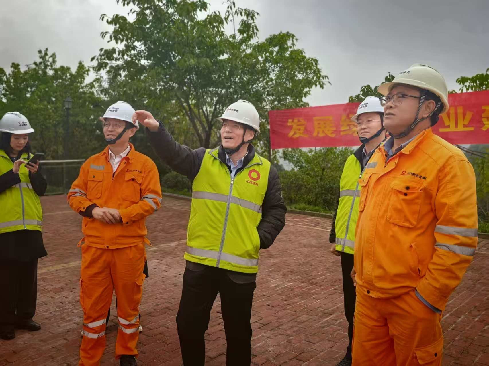 1767505083216043.jpg 参天3.jpg